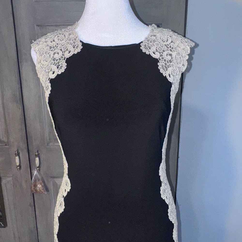 XSCAPE Black Dress with Cream Lace Accents (Size 4)
